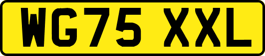 WG75XXL