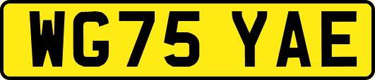 WG75YAE