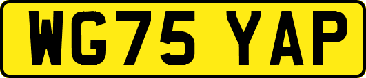 WG75YAP