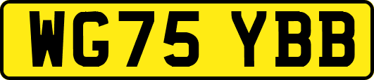 WG75YBB