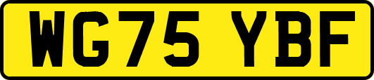 WG75YBF