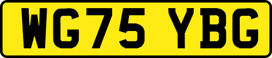 WG75YBG