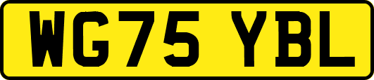 WG75YBL