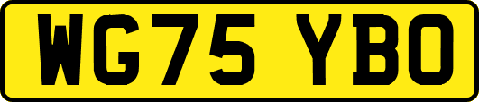 WG75YBO