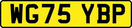 WG75YBP