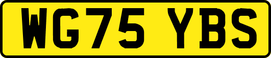 WG75YBS