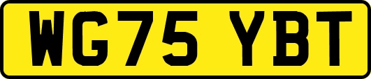 WG75YBT