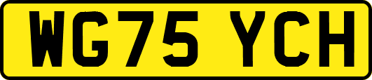 WG75YCH