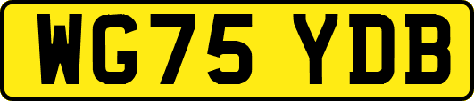 WG75YDB