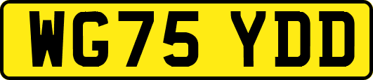 WG75YDD