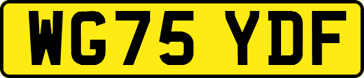 WG75YDF