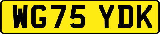 WG75YDK