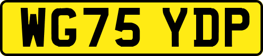 WG75YDP