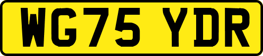 WG75YDR