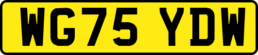WG75YDW