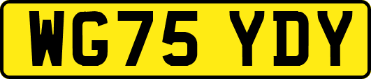 WG75YDY