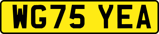 WG75YEA