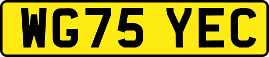 WG75YEC