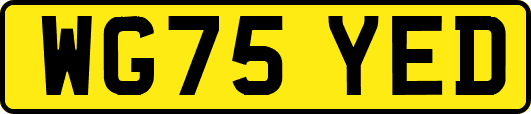 WG75YED