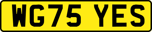 WG75YES