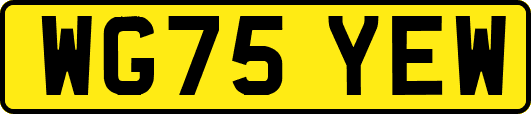 WG75YEW