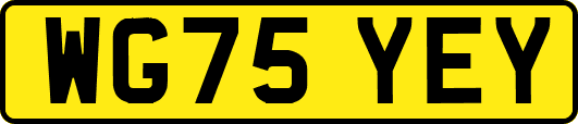 WG75YEY