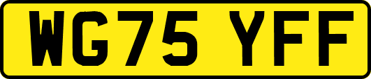 WG75YFF
