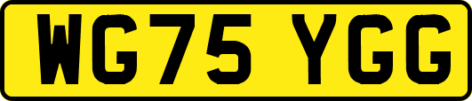 WG75YGG