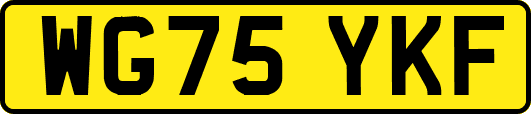 WG75YKF