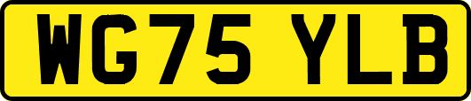 WG75YLB