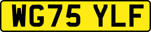 WG75YLF