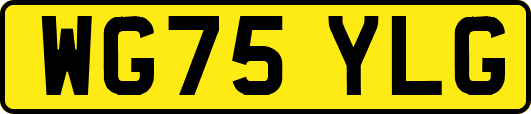 WG75YLG