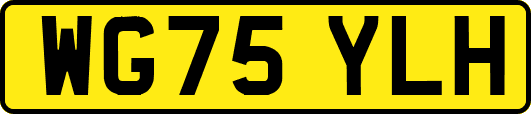 WG75YLH