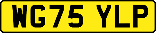 WG75YLP