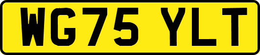 WG75YLT