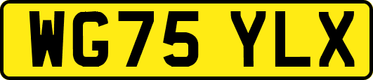WG75YLX