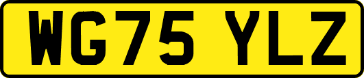 WG75YLZ