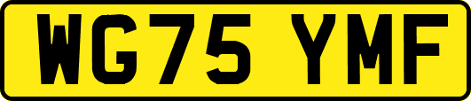 WG75YMF