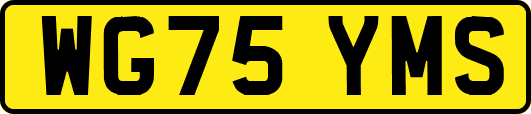 WG75YMS