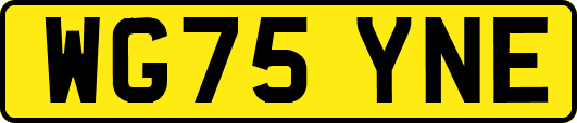WG75YNE