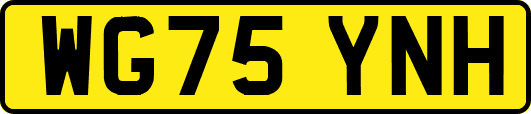 WG75YNH