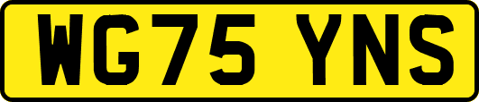 WG75YNS