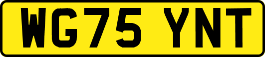 WG75YNT