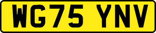 WG75YNV