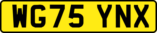 WG75YNX