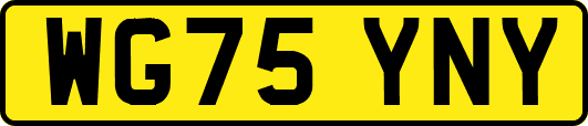WG75YNY