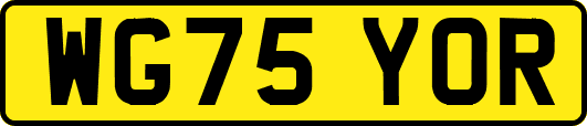 WG75YOR