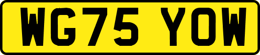 WG75YOW