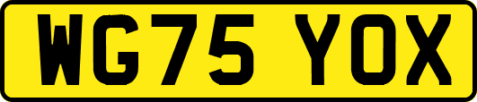 WG75YOX