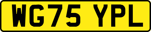 WG75YPL